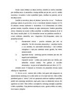 Referāts 'Motivācijas un motīva jēdzieni psiholoģijā', 4.