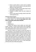 Referāts 'Amerikanizācija un rietumu kultūras invāzija Latvijā', 8.