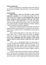 Referāts 'Amerikanizācija un rietumu kultūras invāzija Latvijā', 9.