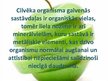 Prezentācija 'Metālisko elementu nozīme organismos', 2.