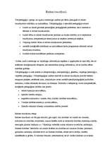 Referāts 'Redzes traucējumi', 1.