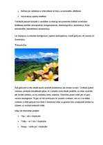 Referāts 'Redzes traucējumi', 4.