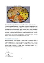 Referāts 'Pētnieciskais darbs pārtikas ķīmijā. Āboli un banāni', 15.