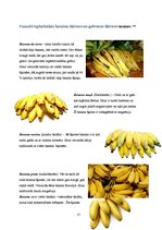 Referāts 'Pētnieciskais darbs pārtikas ķīmijā. Āboli un banāni', 17.