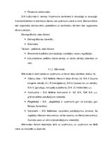 Diplomdarbs 'Personas lieta, tās dokumentu veidošana, izstrādāšana, noformēšana, aktualizēšan', 37.