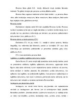 Diplomdarbs 'Personas lieta, tās dokumentu veidošana, izstrādāšana, noformēšana, aktualizēšan', 39.