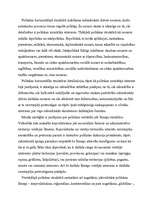 Konspekts 'Politoloģija', 4.