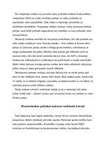 Konspekts 'Politoloģija', 6.