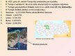 Prezentācija 'Turcija', 5.