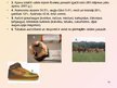 Prezentācija 'Turcija', 16.