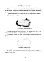 Referāts 'Maltas ezera fauna un flora', 38.