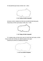 Referāts 'Maltas ezera fauna un flora', 39.