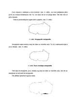 Referāts 'Maltas ezera fauna un flora', 40.