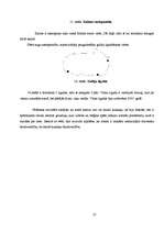 Referāts 'Maltas ezera fauna un flora', 41.