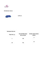 Konspekts 'Kvalifikācijas eksāmens mācību priekšmetu metodikās ar dominanti sociālajās zinī', 9.