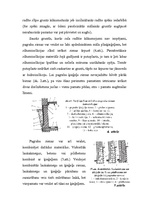 Referāts 'Pagraba sienas', 6.