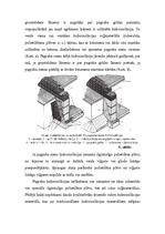 Referāts 'Pagraba sienas', 9.