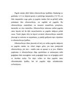 Referāts 'Pagraba sienas', 11.