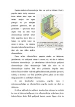 Referāts 'Pagraba sienas', 12.