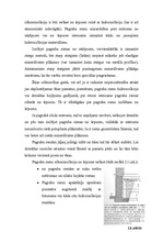 Referāts 'Pagraba sienas', 13.