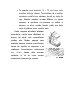 Referāts 'Pagraba sienas', 14.