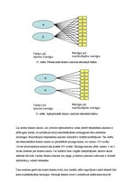 Konspekts 'Faktoru analīze', 3.