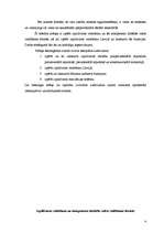 Referāts 'Izpildvara: veidošana un kompetence', 4.