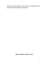 Referāts 'Izpildvara: veidošana un kompetence', 7.