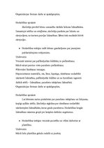 Konspekts 'Pirmsskolas nodarbība. Transports', 5.