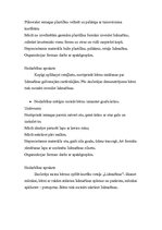 Konspekts 'Pirmsskolas nodarbība. Transports', 6.