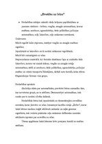 Konspekts 'Pirmsskolas nodarbība. Transports', 12.