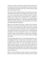 Eseja 'Pages or Screens: Exploring the Educational and Entertainment Value of Books and', 2.