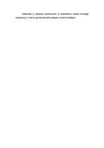 Referāts 'H.Heses romāna "Stepes vilks" vēstījuma organizācija jeb kompozīcija', 9.