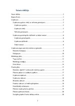 Biznesa plāns 'SIA "KKC" biznesa plāns', 2.