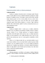 Biznesa plāns 'SIA "KKC" biznesa plāns', 6.