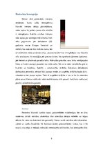 Biznesa plāns 'SIA "KKC" biznesa plāns', 9.