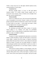 Biznesa plāns 'SIA "KKC" biznesa plāns', 16.