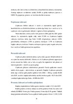 Biznesa plāns 'SIA "KKC" biznesa plāns', 19.