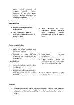 Konspekts 'Integrētā mācība pamatizglītībā', 3.