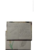 Konspekts 'Integrētā mācība pamatizglītībā', 6.