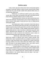 Referāts 'Estētika viduslaikos', 3.