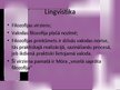 Prezentācija 'Lingvistiskā filosofija', 2.