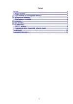 Referāts 'Biznesa ideja', 2.