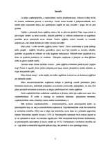 Referāts 'Biznesa ideja', 3.