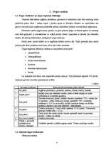 Referāts 'Biznesa ideja', 4.