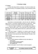 Referāts 'Biznesa ideja', 6.