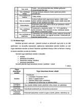 Referāts 'Biznesa ideja', 7.