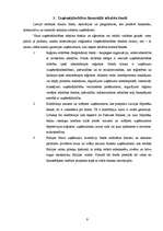 Referāts 'Biznesa ideja', 9.