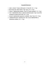 Referāts 'Biznesa ideja', 11.