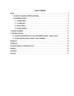 Referāts 'Personības prezentēšanas prasme jauniešu vecumā', 2.